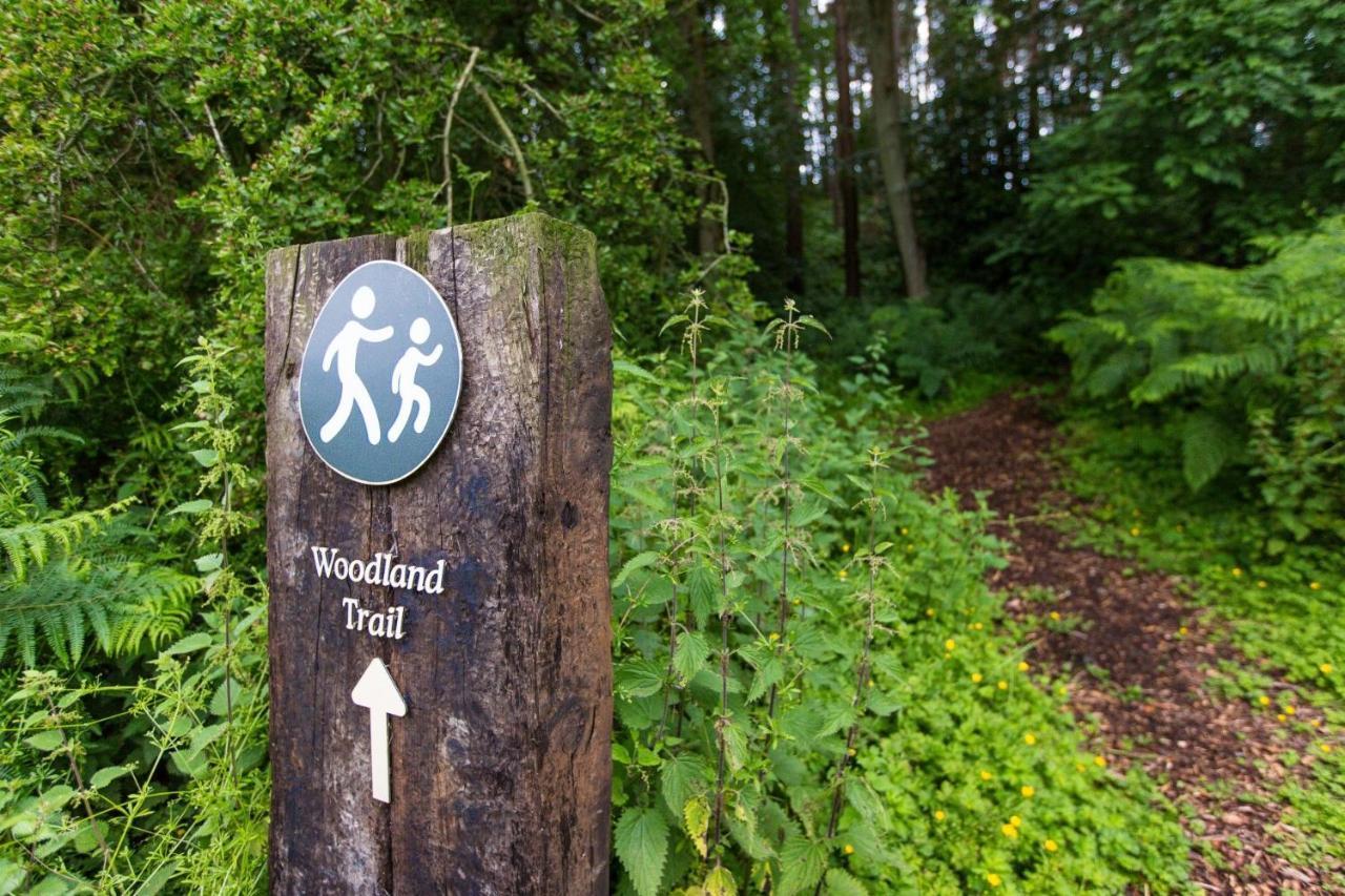 Yorkshire Dales Lodge 4 Family 3 Bed Richmond  Eksteriør bilde